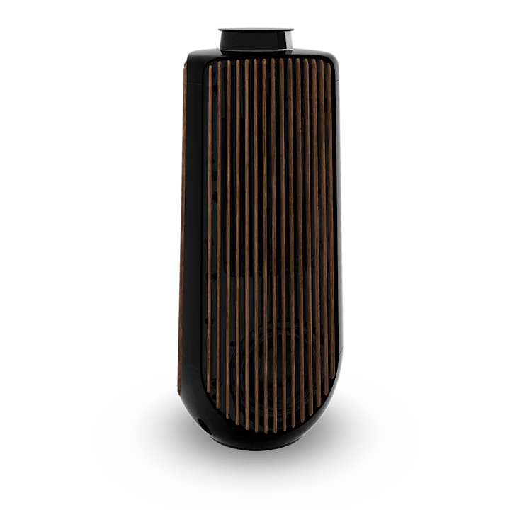 Bang & Olufsen Beolab 50 Advanced Active Loudspeakers 37