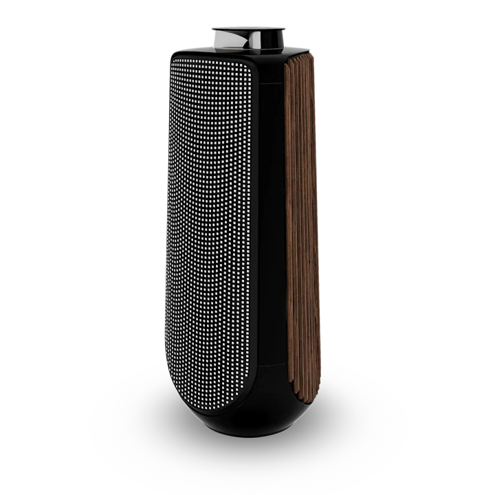 Bang & Olufsen Beolab 50 Advanced Active Loudspeakers 38