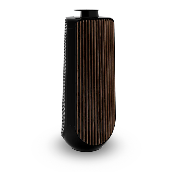 Bang & Olufsen Beolab 50 Advanced Active Loudspeakers 39