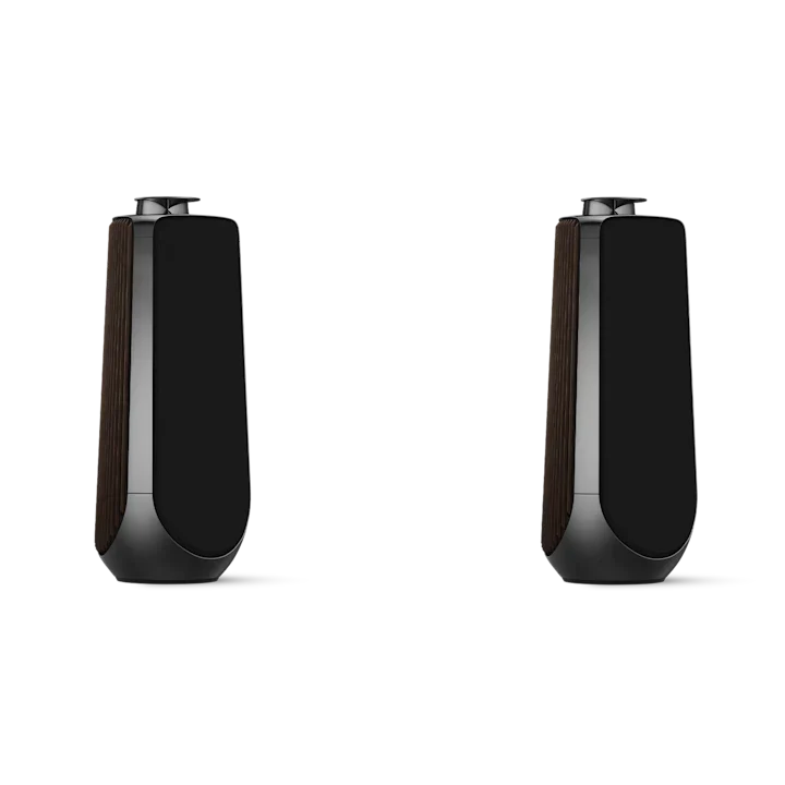 Bang & Olufsen Beolab 50 Advanced Active Loudspeakers 3