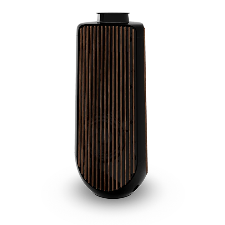 Bang & Olufsen Beolab 50 Advanced Active Loudspeakers 40