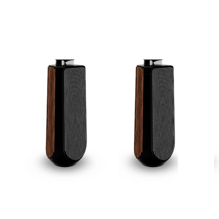 Bang & Olufsen Beolab 50 Advanced Active Loudspeakers 4