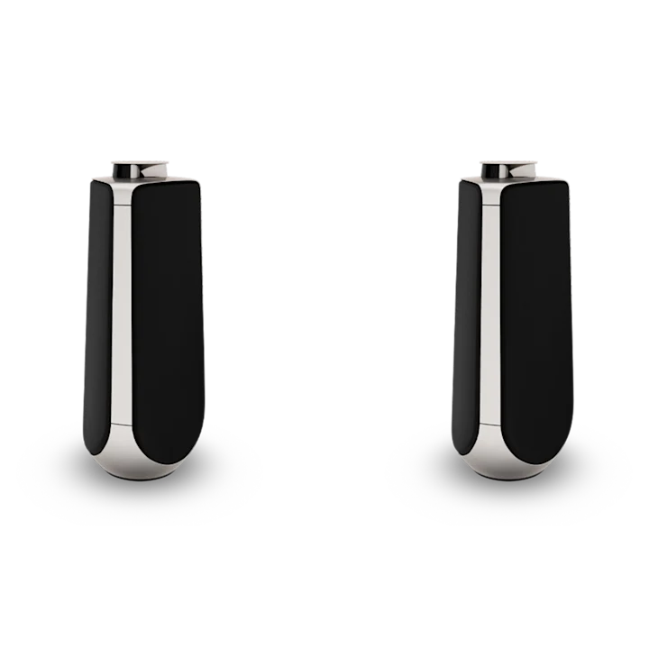 Bang & Olufsen Beolab 50 Advanced Active Loudspeakers 5