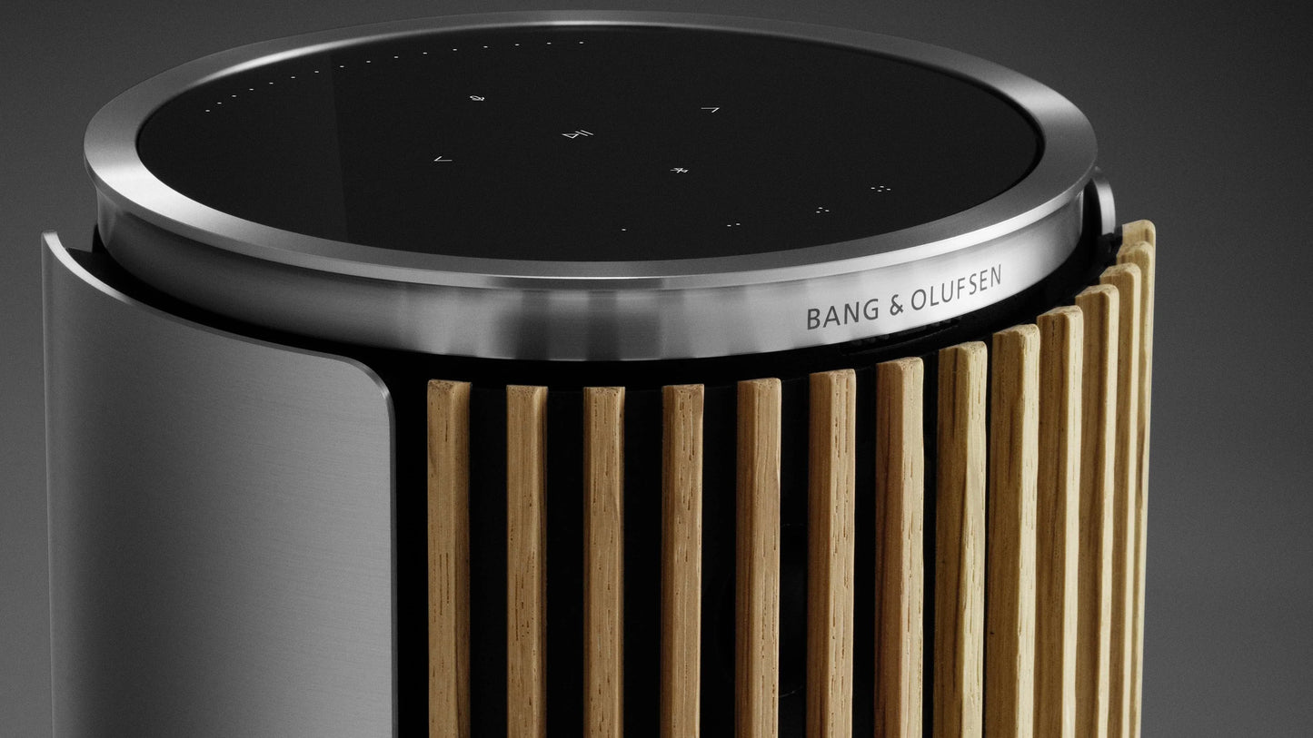 Bang & Olufsen Beolab 8 Compact Wifi Speaker 11