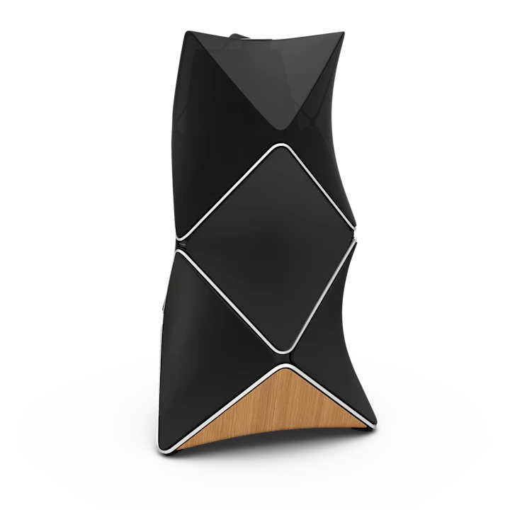Bang & Olufsen Beolab 90 Floor Standing Speakers 10