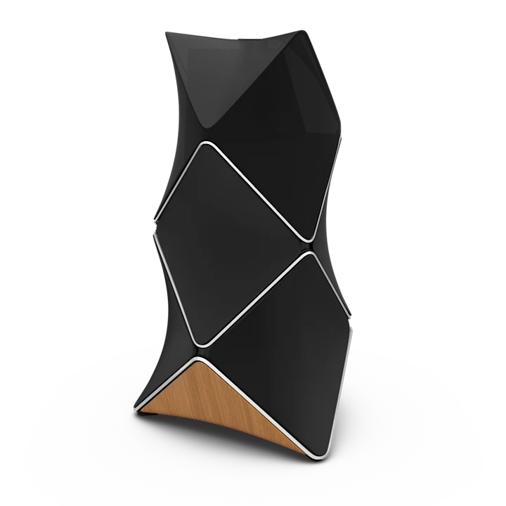 Bang & Olufsen Beolab 90 Floor Standing Speakers 11