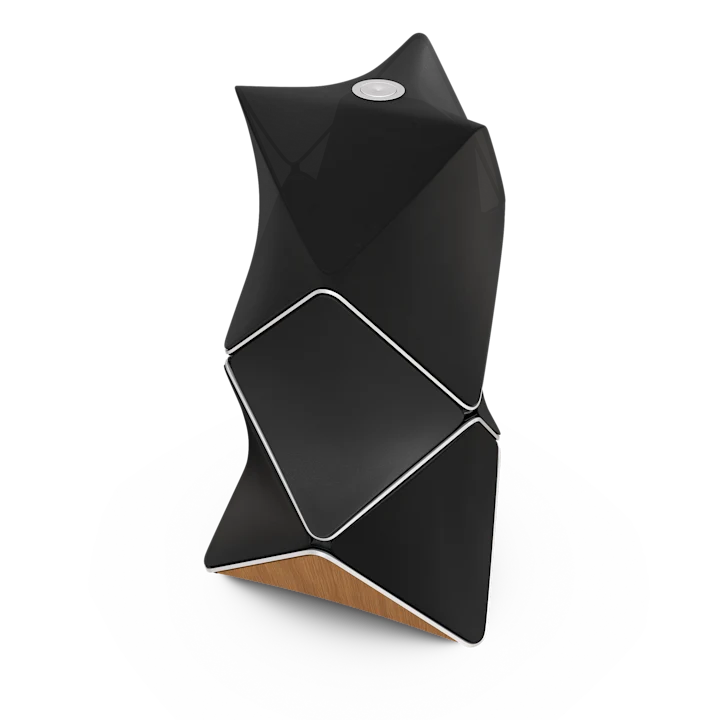 Bang & Olufsen Beolab 90 Floor Standing Speakers 13