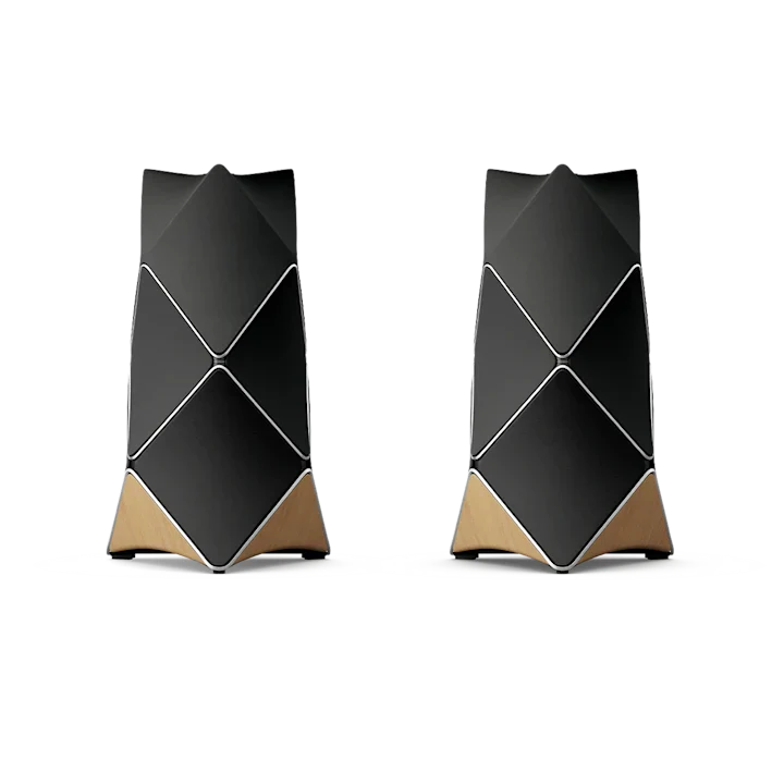 Bang & Olufsen Beolab 90 Floor Standing Speakers 4