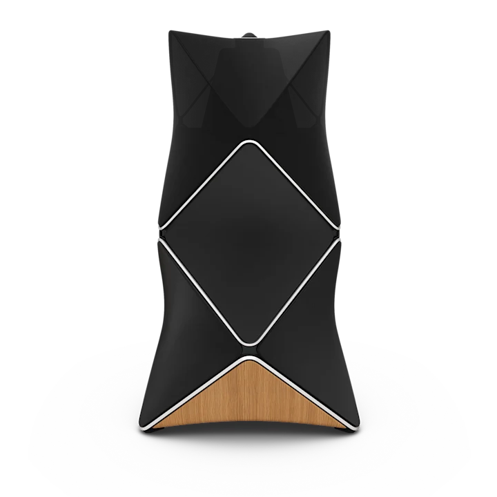 Bang & Olufsen Beolab 90 Floor Standing Speakers 5
