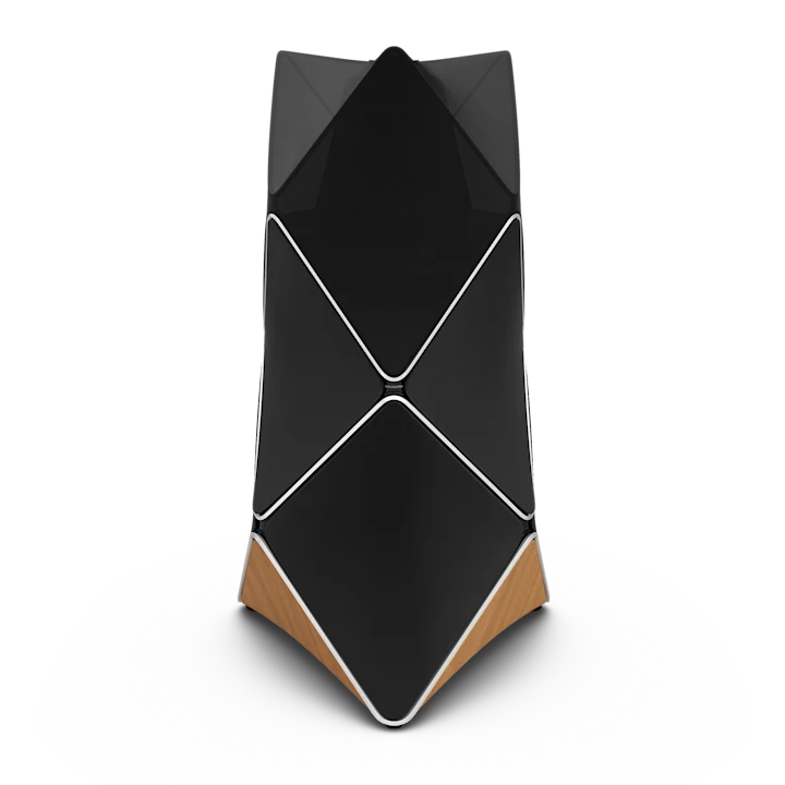 Bang & Olufsen Beolab 90 Floor Standing Speakers 6
