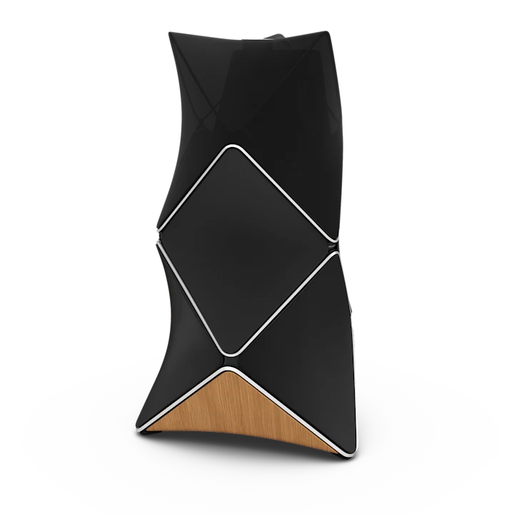 Bang & Olufsen Beolab 90 Floor Standing Speakers 7