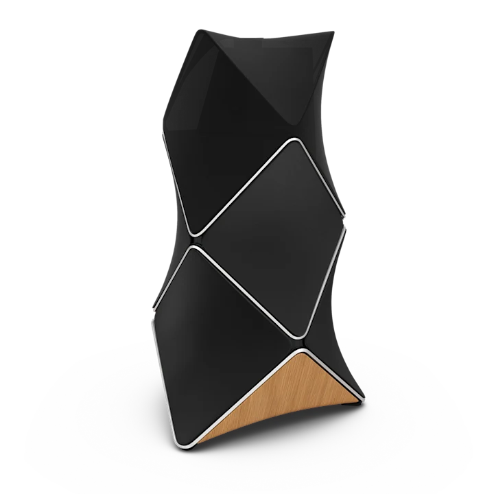 Bang & Olufsen Beolab 90 Floor Standing Speakers 8