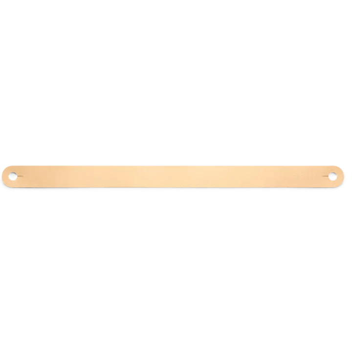 Bang & Olufsen Beolit 20 Leather Handle 1