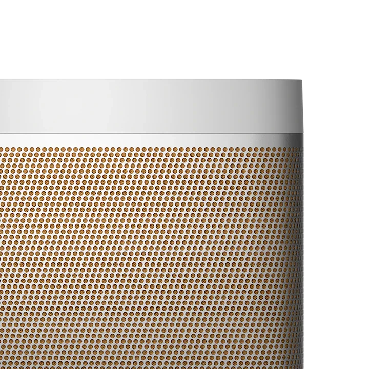 Bang & Olufsen Beolit 20 Powerful Bluetooth Speaker 9