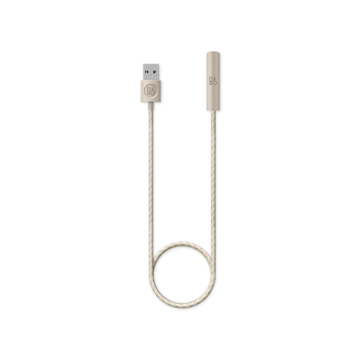 Bang & Olufsen Beoplay E6 Charging Dongle 1