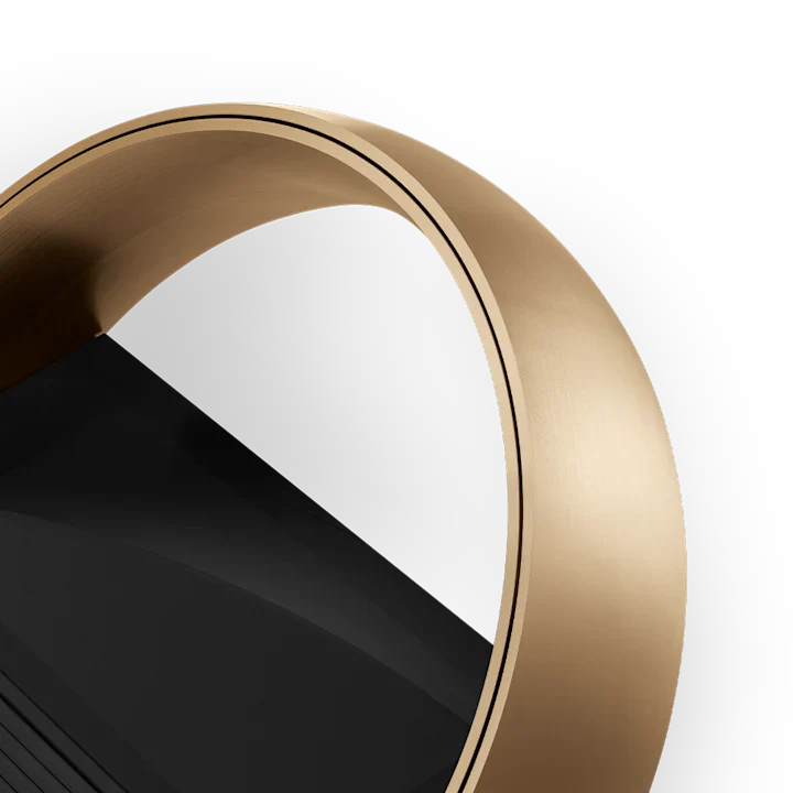 Bang & Olufsen Beoremote Halo Remote control 12