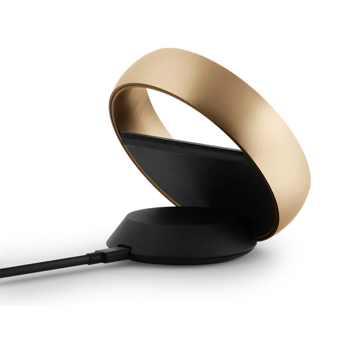 Bang & Olufsen Beoremote Halo Remote control 13
