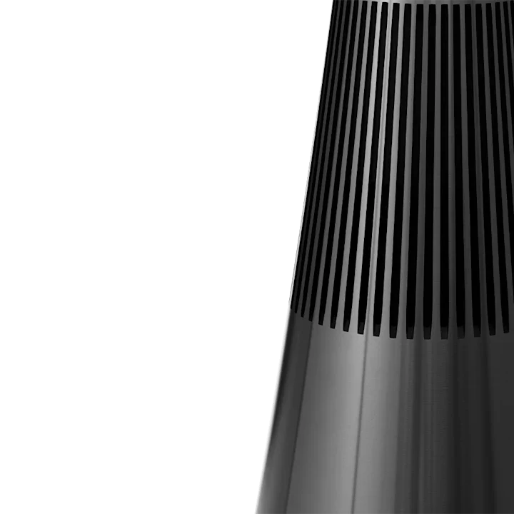 Bang & Olufsen Beosound 2 Elegant Home Speaker 20