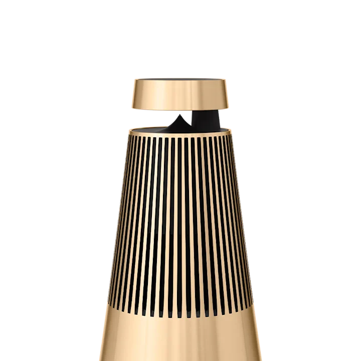 Bang & Olufsen Beosound 2 Elegant Home Speaker 8