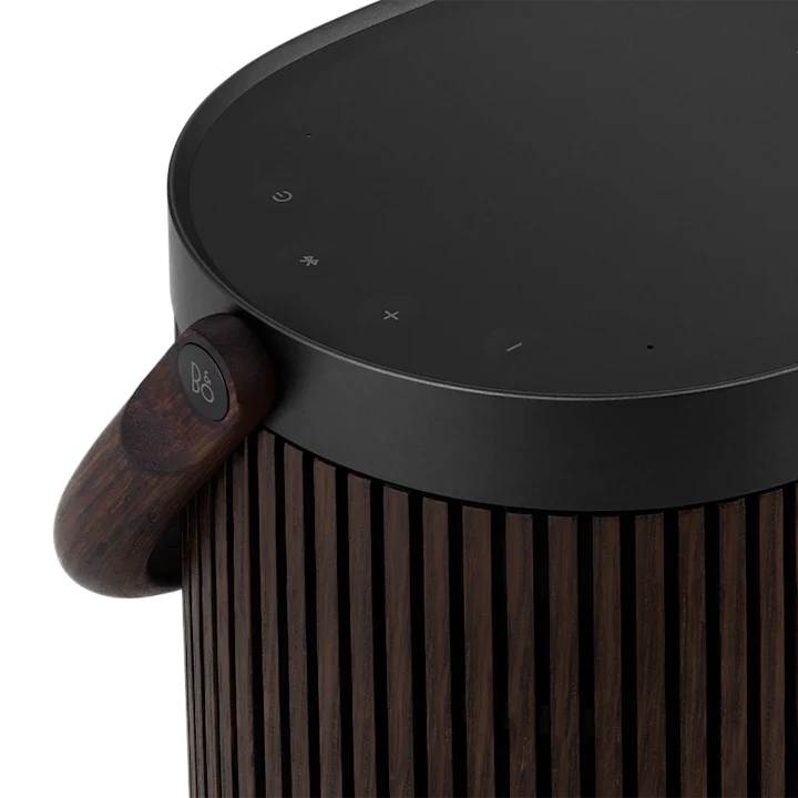 Bang & Olufsen Beosound A5 Powerful Portable Speaker 11