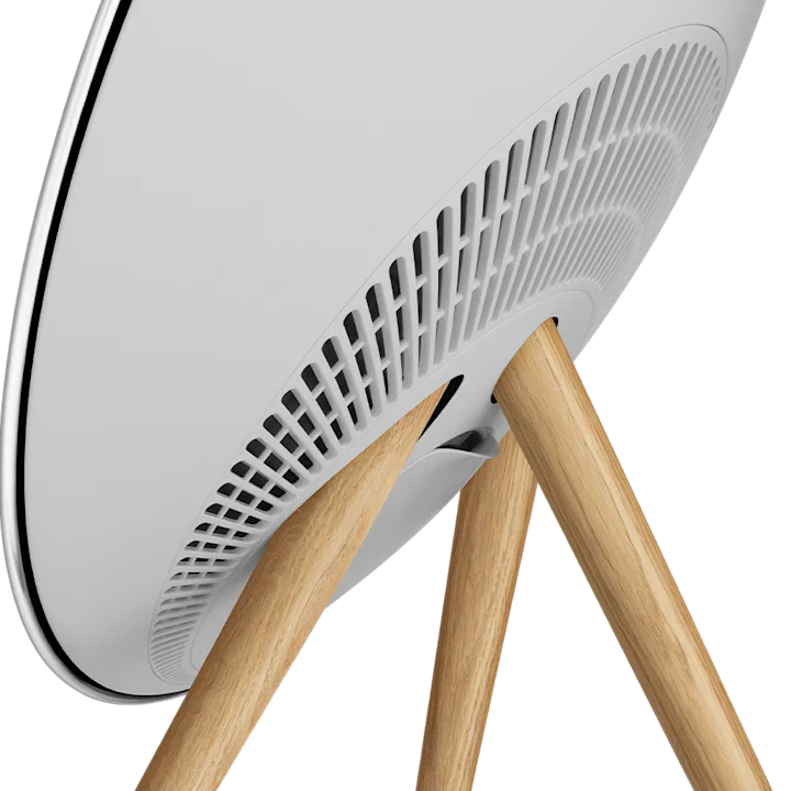 Bang & Olufsen Beosound A9 Powerful Minimalist Speaker 17