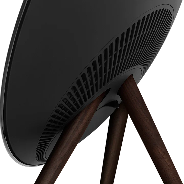 Bang & Olufsen Beosound A9 Powerful Minimalist Speaker 22