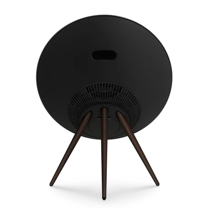 Bang & Olufsen Beosound A9 Powerful Minimalist Speaker 24