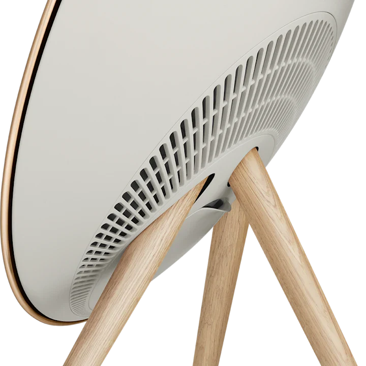 Bang & Olufsen Beosound A9 Powerful Minimalist Speaker 5