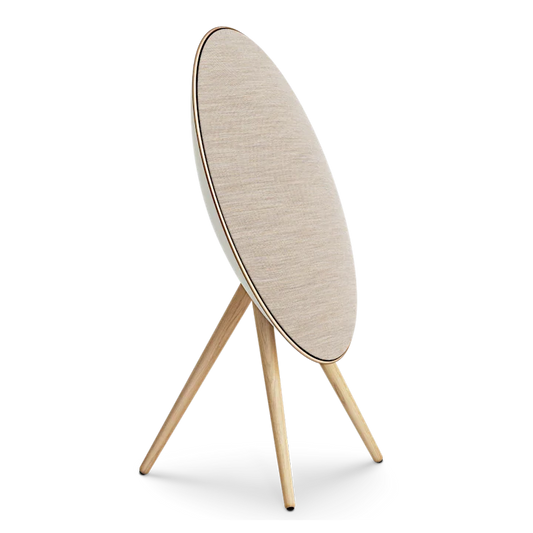 Bang & Olufsen Beosound A9 Powerful Minimalist Speaker 