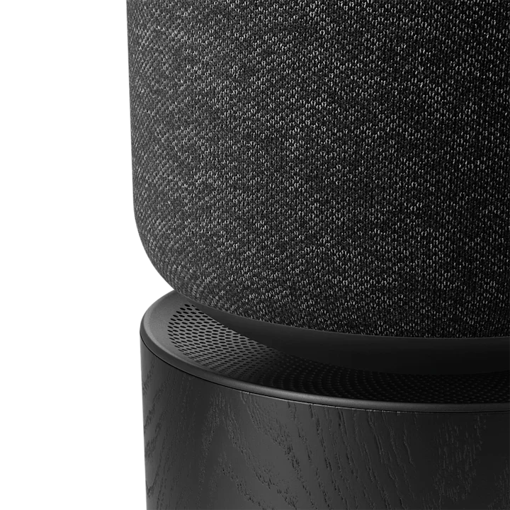 Bang & Olufsen Beosound Balance Outstanding Living Room Speaker 15
