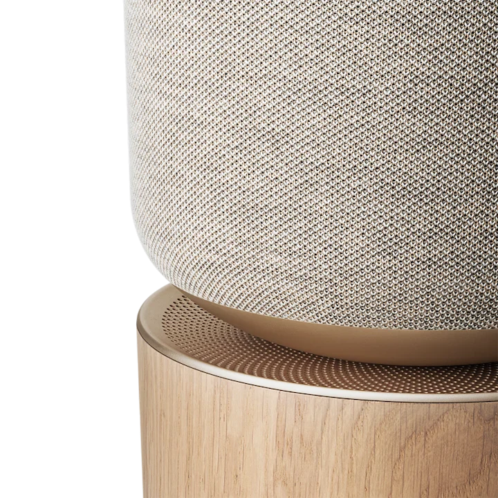 Bang & Olufsen Beosound Balance Outstanding Living Room Speaker 5