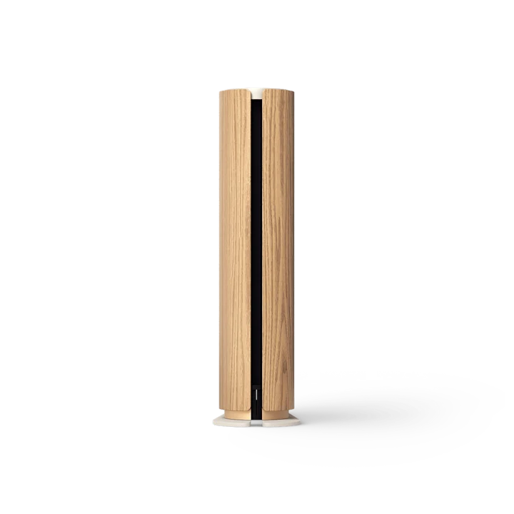 Bang & Olufsen Beosound Emerge Gold Tone Compact Wifi Home Speaker 9