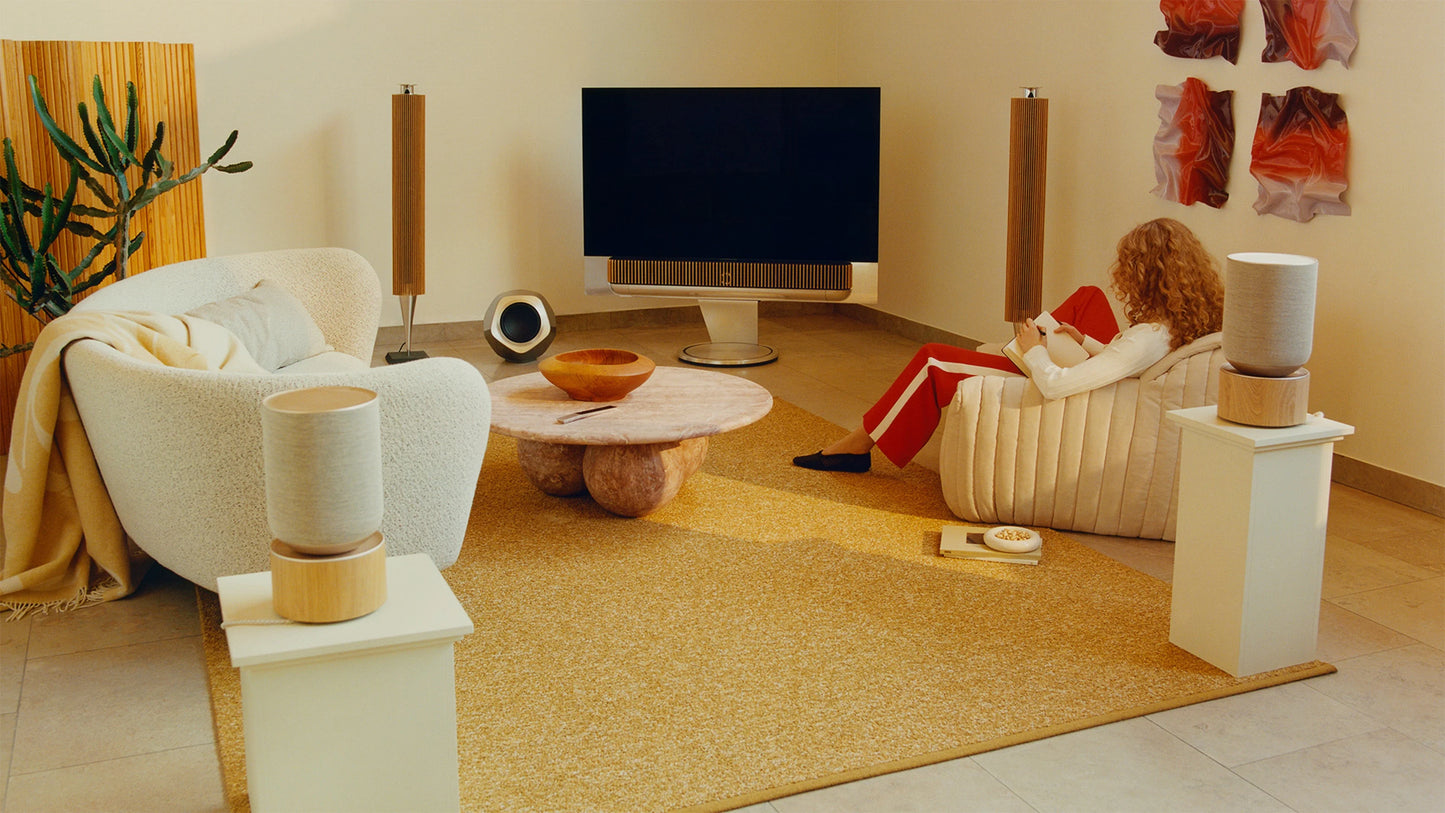 Bang & Olufsen Beovision Harmony Speaker 6