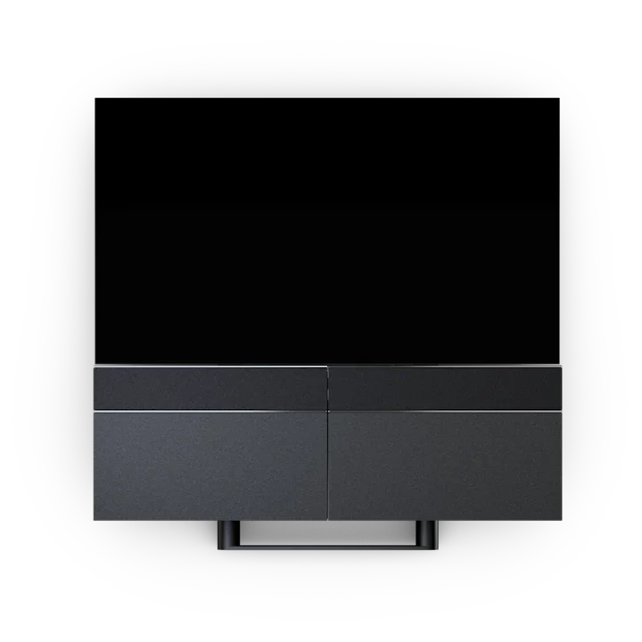 Bang & Olufsen Beovision Harmony Speaker 