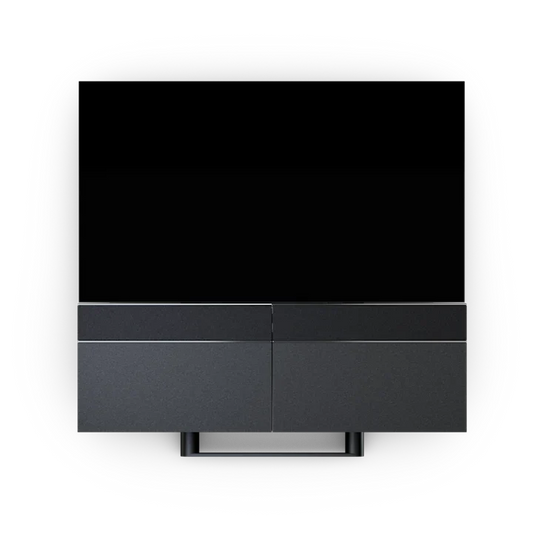 Bang & Olufsen Beovision Harmony Speaker 