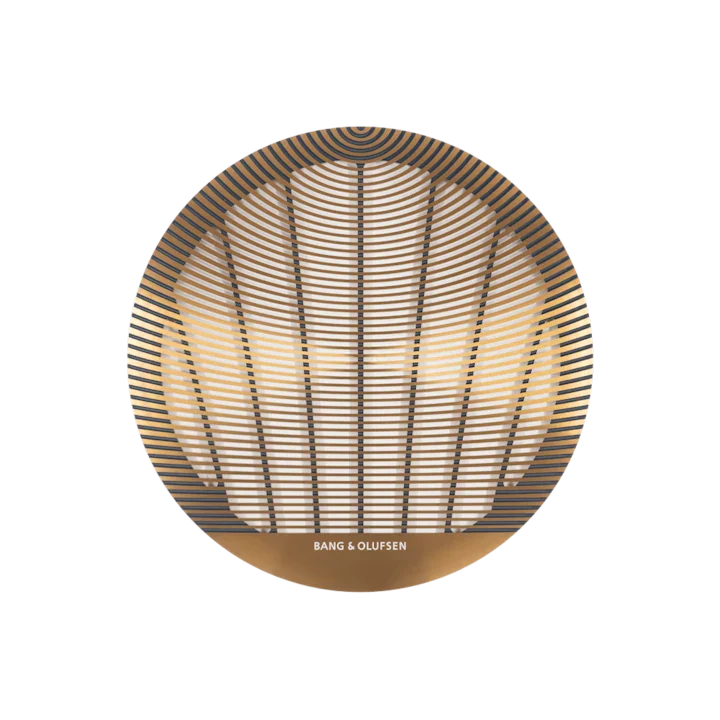 Bang & Olufsen Celestial In-Ceiling Speakers 1