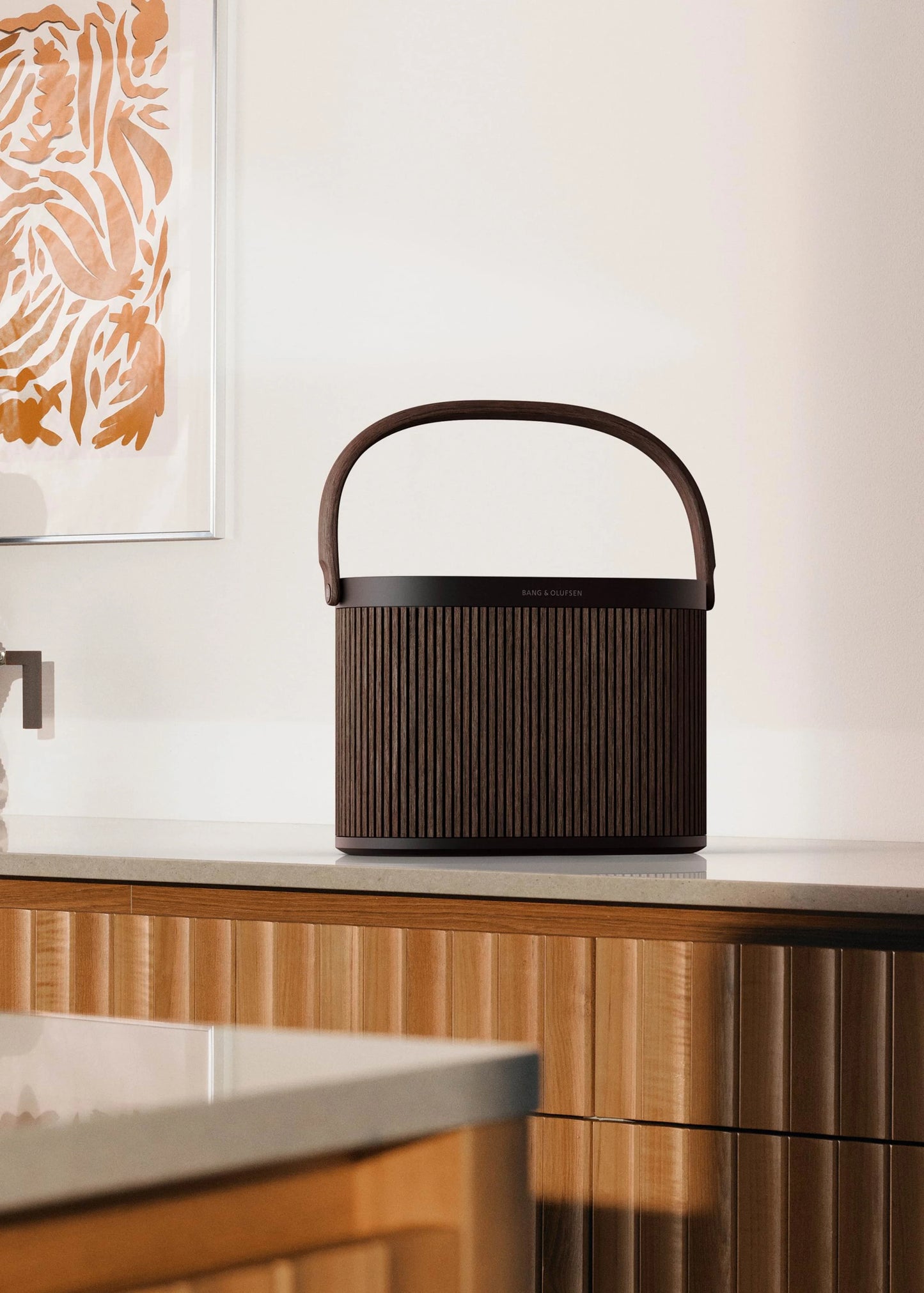 Bang & Olufsen Multiroom Set with Beosound A5 3