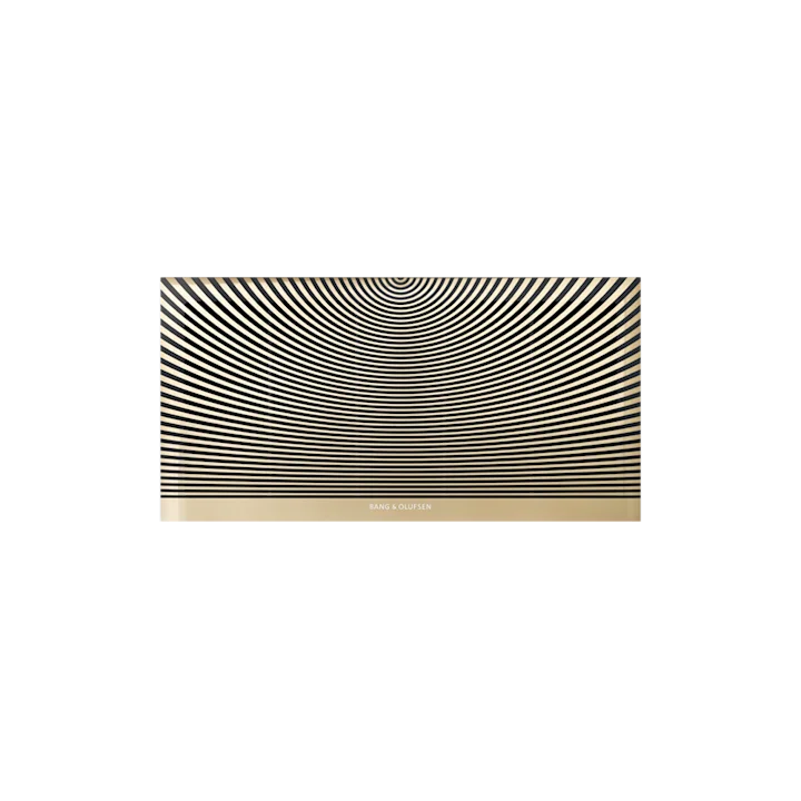 Bang & Olufsen Palatial Wall Speakers 2