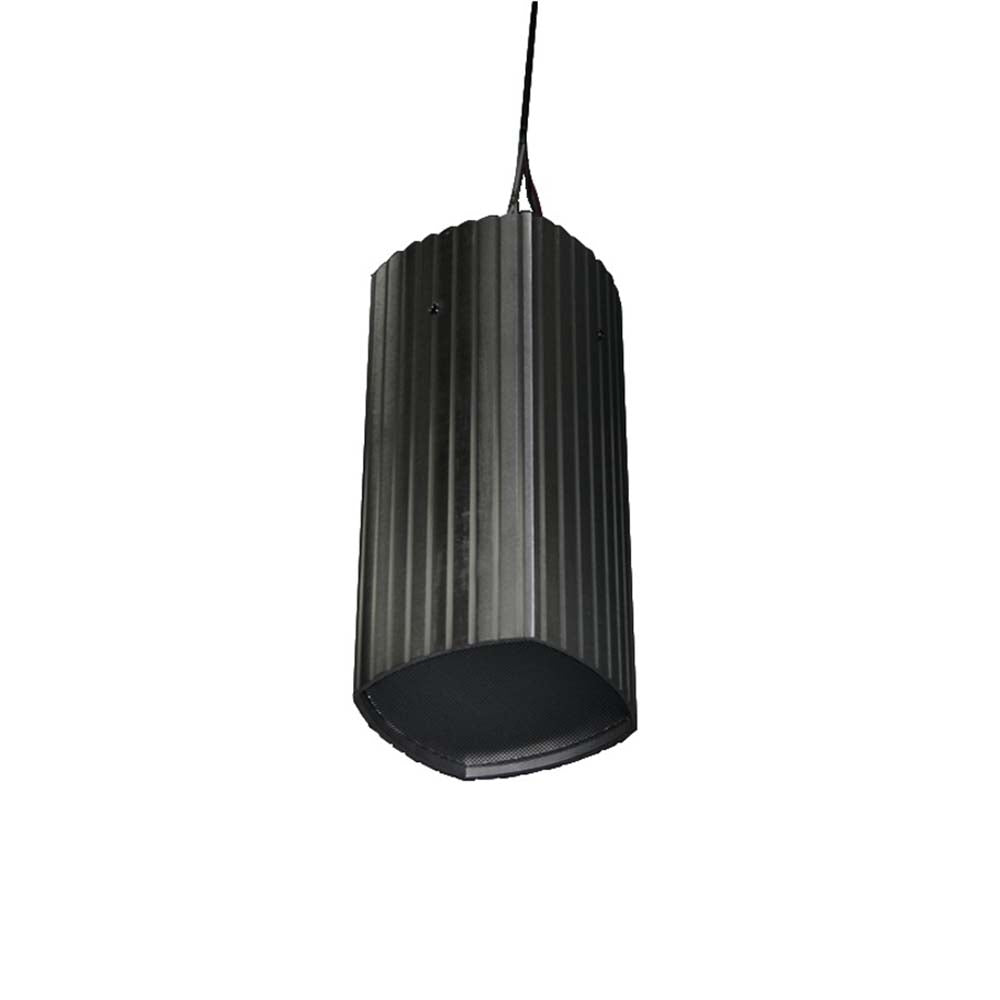 James 6.5" 2 Way Pendant Speaker, Studio Black or Custom Colours: EACH
